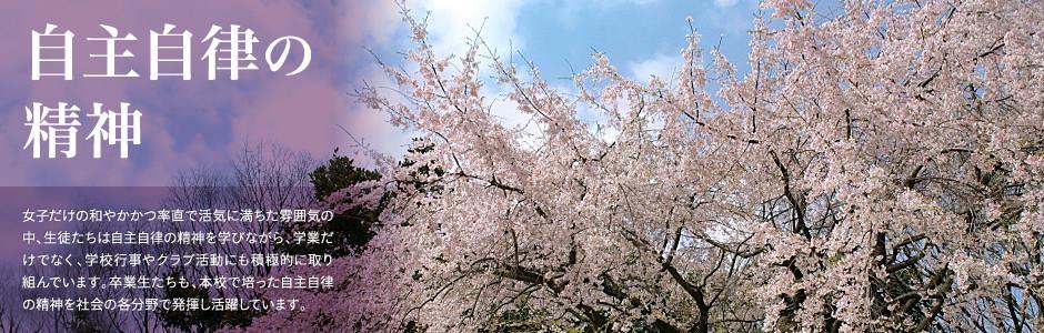 K8体育网页版登录